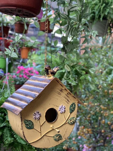 Maison à oiseaux extérieur